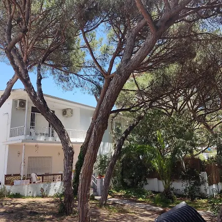 בקתה Chale Santa Maria Punta Umbría